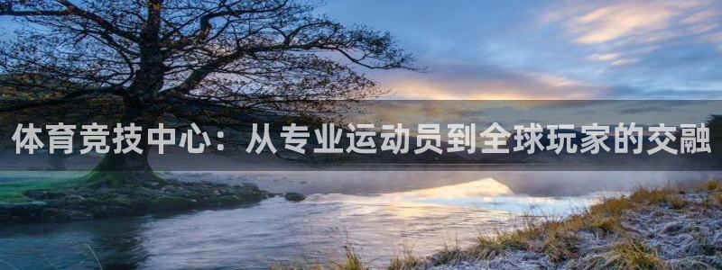 体育竞技中心：从专业运动员到全球玩家的交融