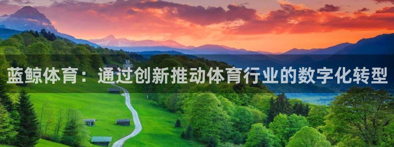 蓝鲸体育：通过创新推动体育行业的数字化转型