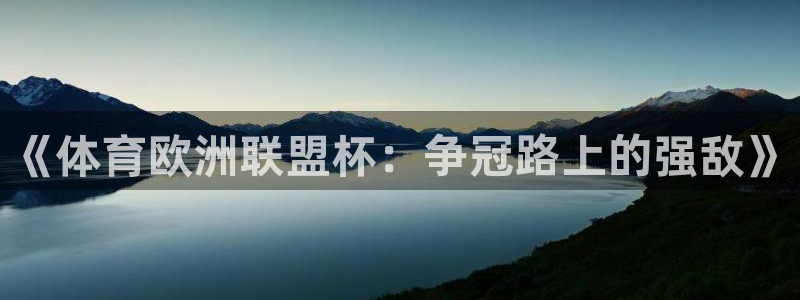 《体育欧洲联盟杯：争冠路上的强敌》
