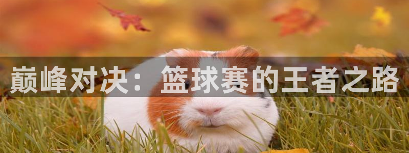 u球苹果版下载