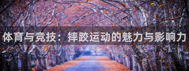 uu球直播nba现场直播下载