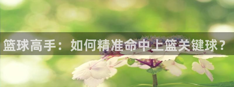 u球官网下载入口
