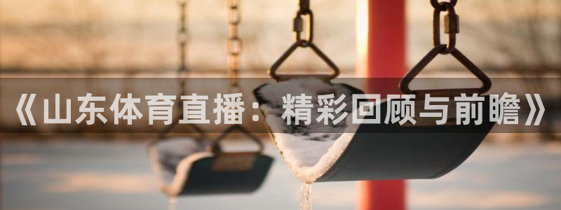 u球体育免费直播：《山东体育直播：精彩回顾与前瞻》