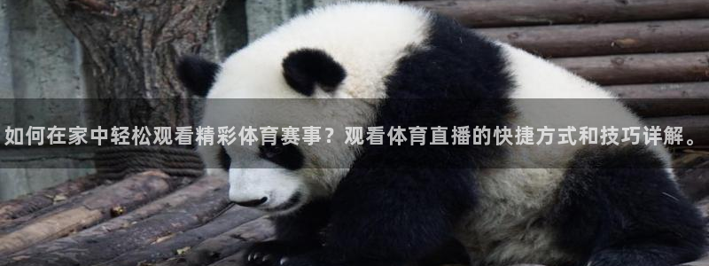 u球app下载官网最新版：如何在家中轻松